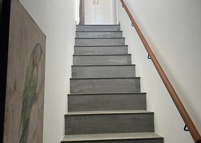 Willa Groovy Lajares